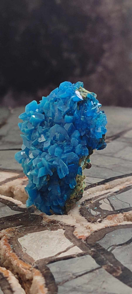 Chalcanthite de Pologne Grade A++++ Chalcanthite de Pologne Dans la besace du p'tit Poucet