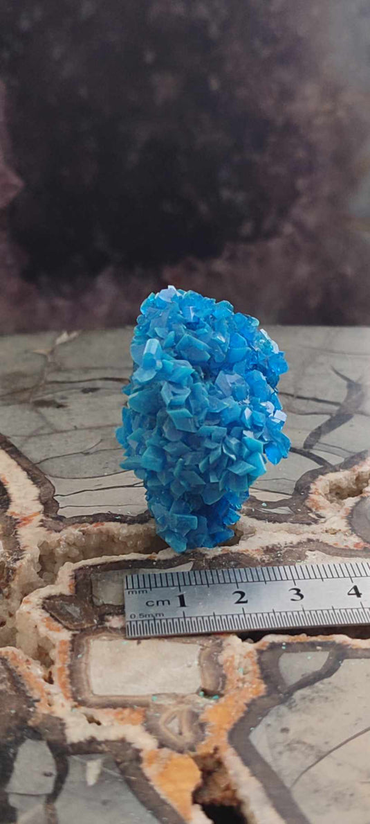 Chalcanthite de Pologne Grade A++++ Chalcanthite de Pologne Dans la besace du p'tit Poucet