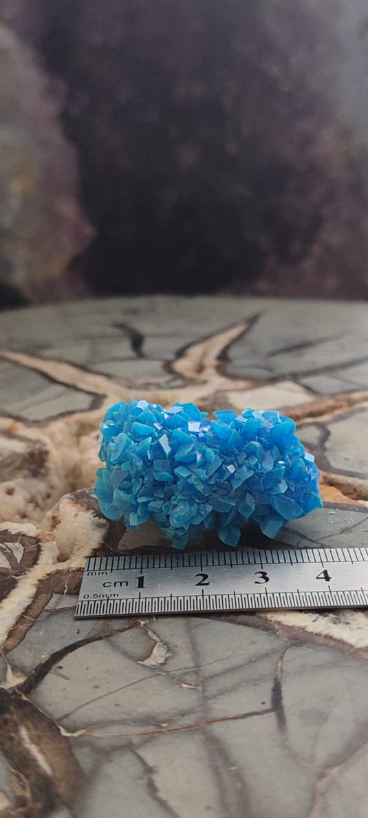 Chalcanthite de Pologne Grade A++++ Chalcanthite de Pologne Dans la besace du p'tit Poucet