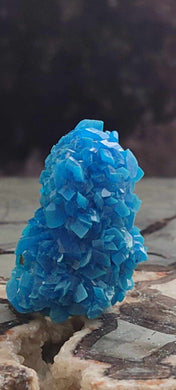 Chalcanthite de Pologne Grade A++++ Chalcanthite de Pologne Dans la besace du p'tit Poucet