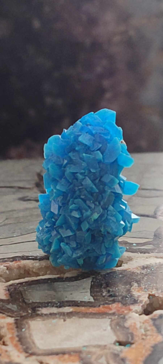 Chalcanthite de Pologne Grade A++++ Chalcanthite de Pologne Dans la besace du p'tit Poucet