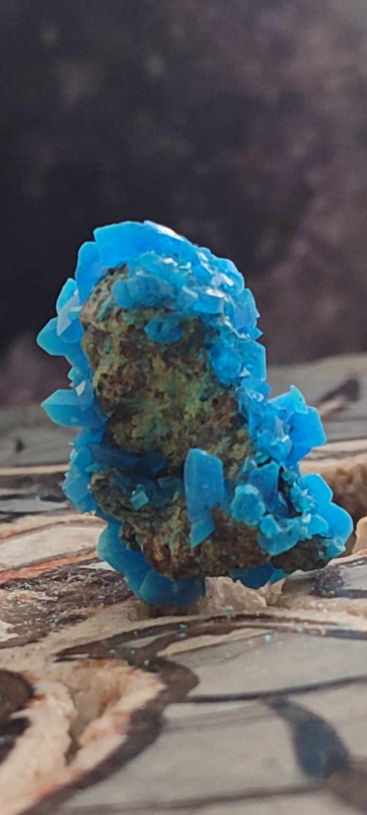 Chalcanthite de Pologne Grade A++++ Chalcanthite de Pologne Dans la besace du p'tit Poucet