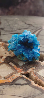 Chalcanthite de Pologne Grade A++++ Chalcanththite de Pologne Dans la besace du p'tit Poucet