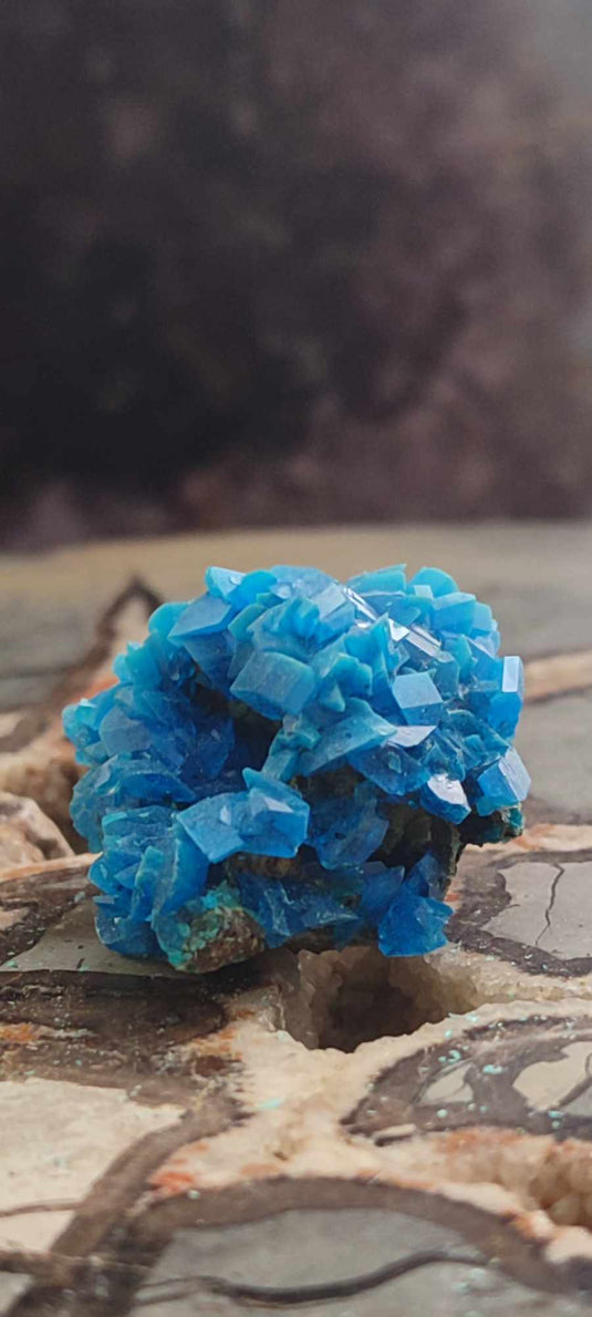 Chalcanthite de Pologne Grade A++++ Chalcanththite de Pologne Dans la besace du p'tit Poucet