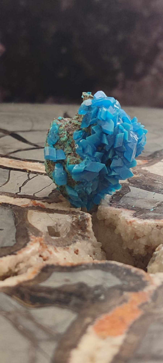 Chalcanthite de Pologne Grade A++++ Chalcanththite de Pologne Dans la besace du p'tit Poucet