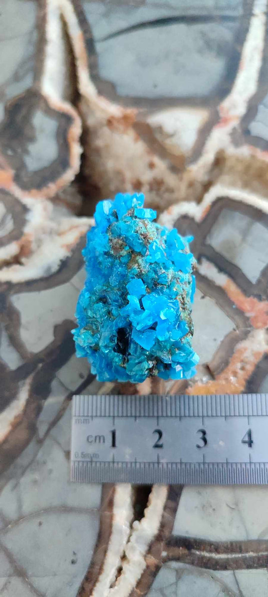 Chalcanthite de Pologne Grade A++++ Chalcanthite de Pologne Dans la besace du p'tit Poucet