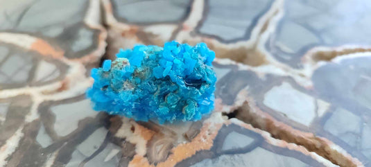 Chalcanthite de Pologne Grade A++++ Chalcanthite de Pologne Dans la besace du p'tit Poucet