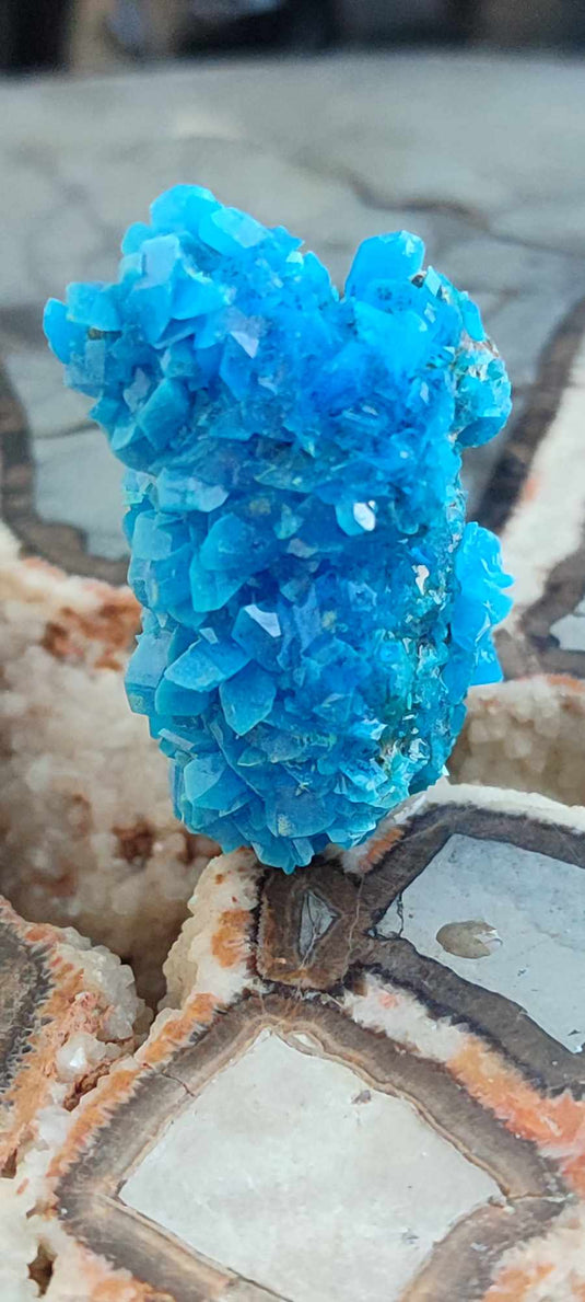 Chalcanthite de Pologne Grade A++++ Chalcanthite de Pologne Dans la besace du p'tit Poucet