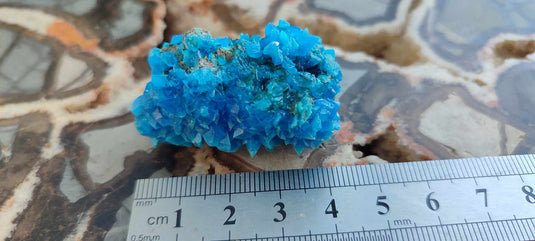 Chalcanthite de Pologne Grade A++++ Chalcanthite de Pologne Dans la besace du p'tit Poucet