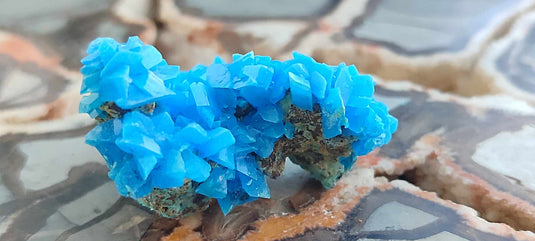 Chalcanthite de Pologne Grade A++++ Chalcanthite de Pologne Dans la besace du p'tit Poucet