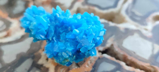 Chalcanthite de Pologne Grade A++++ Chalcanthite de Pologne Dans la besace du p'tit Poucet