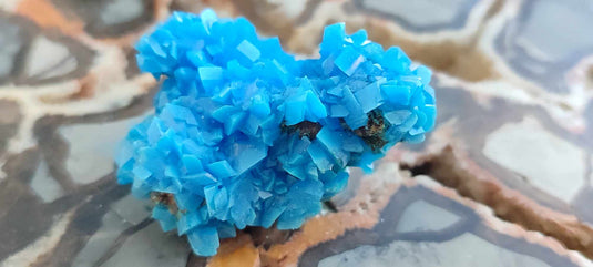 Chalcanthite de Pologne Grade A++++ Chalcanthite de Pologne Dans la besace du p'tit Poucet