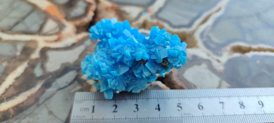 Chalcanthite de Pologne Grade A++++ Chalcanthite de Pologne Dans la besace du p'tit Poucet