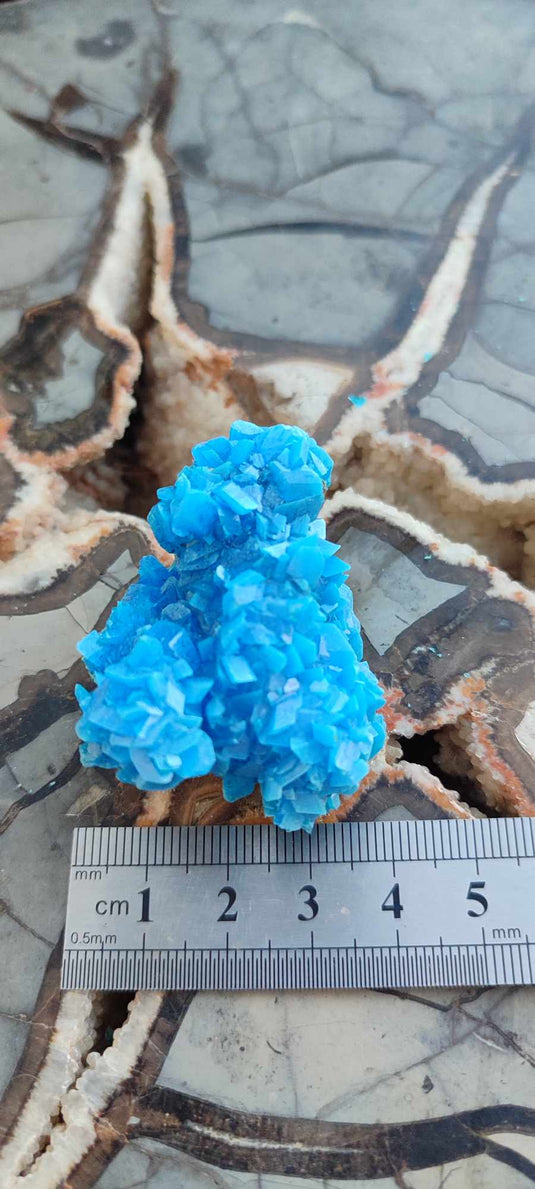 Chalcanthite de Pologne Grade A++++ Chalcanthite de Pologne Dans la besace du p'tit Poucet