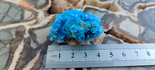 Chalcanthite de Pologne Grade A++++ Chalcanthite de Pologne Dans la besace du p'tit Poucet