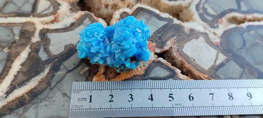 Chalcanthite de Pologne Grade A++++ Chalcanthite de Pologne Dans la besace du p'tit Poucet