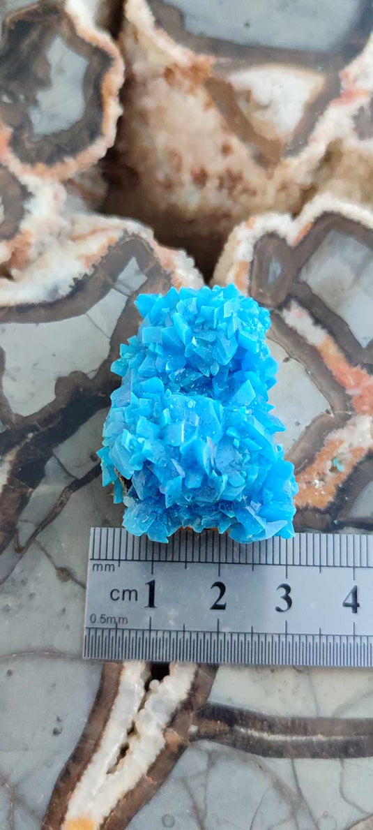 Chalcanthite de Pologne Grade A++++ Chalcanthite de Pologne Dans la besace du p'tit Poucet