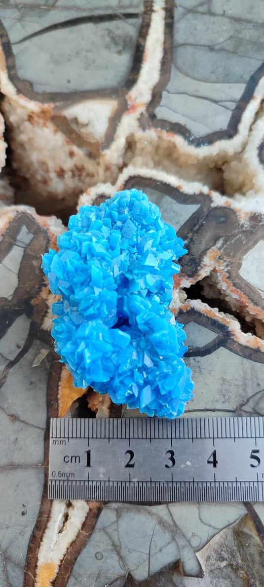 Chalcanthite de Pologne Grade A++++ Chalcanthite de Pologne Dans la besace du p'tit Poucet