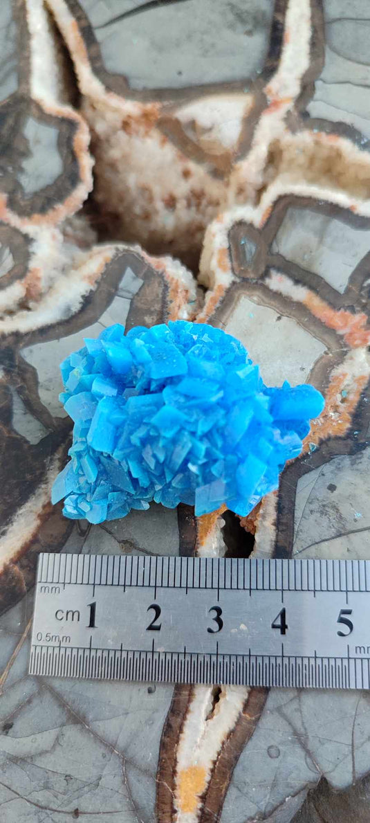 Chalcanthite de Pologne Grade A++++ Chalcanthite de Pologne Dans la besace du p'tit Poucet