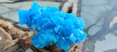 Chalcanthite de Pologne Grade A++++ Chalcanthite de Pologne Dans la besace du p'tit Poucet