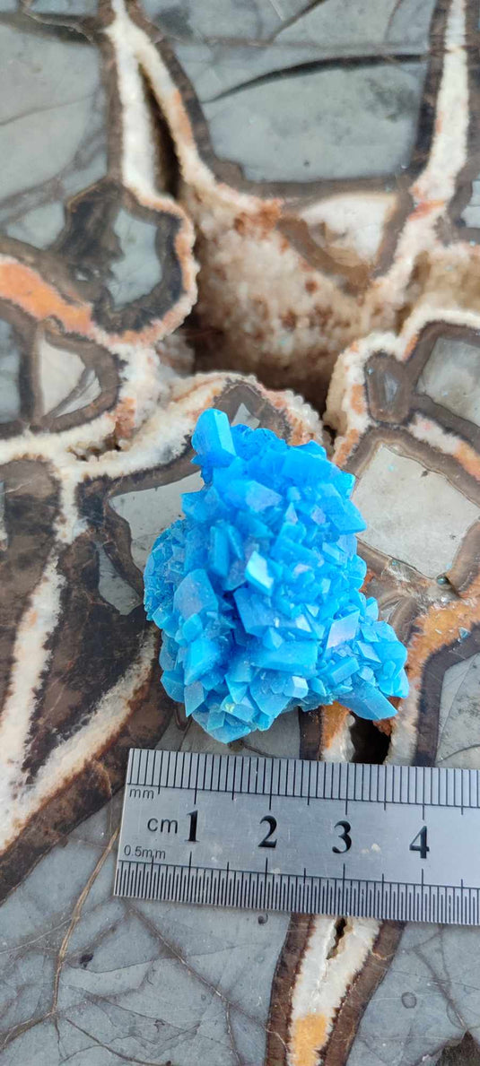 Chalcanthite de Pologne Grade A++++ Chalcanthite de Pologne Dans la besace du p'tit Poucet