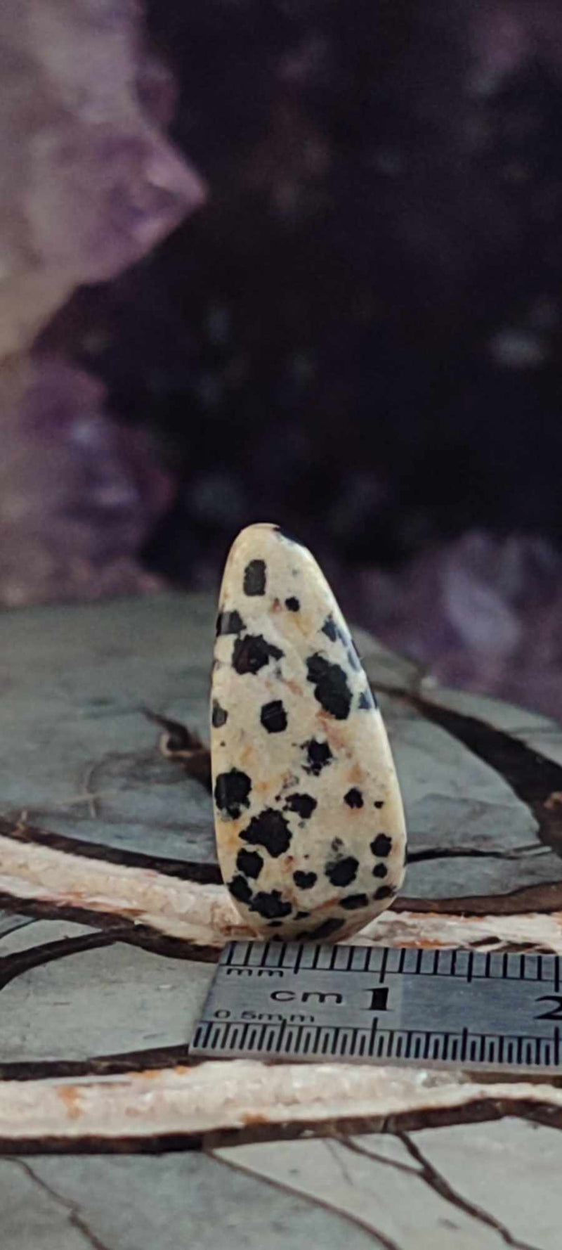 Load image into Gallery viewer, Jaspe dalmatien du Brésil pierre roulée Grade A++++ Jaspe dalmatien pierre roulée Dans la besace du p&#39;tit Poucet (Boutique Officielle)
