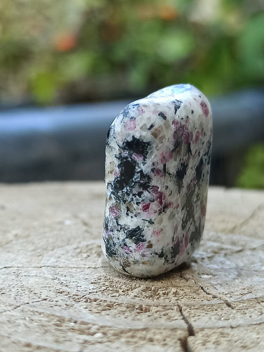 Kakortokite du Groënland pierre roulée Grade A++++ ’Très rare’ Kakortokite