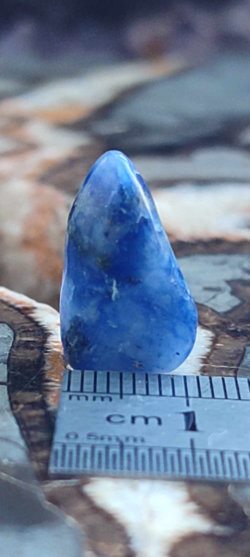 Carica immagine in Galleria Viewer, Sodalite de Bolivie pierre roulée Grade &quot;Extra&quot; Sodalite pierre roulée Dans la besace du p&#39;tit Poucet (Boutique Officielle)
