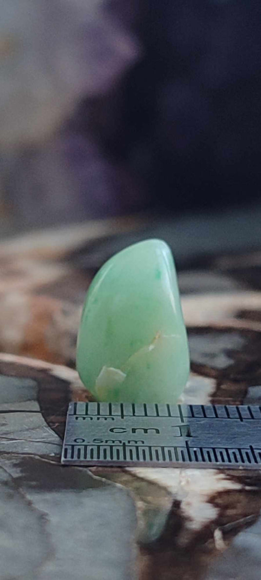 Chrysoprase du Kazakhstan pierre roulée Grade "Extra" Chrysoprase pierre roulée Dans la besace du p'tit Poucet (Boutique Officielle)