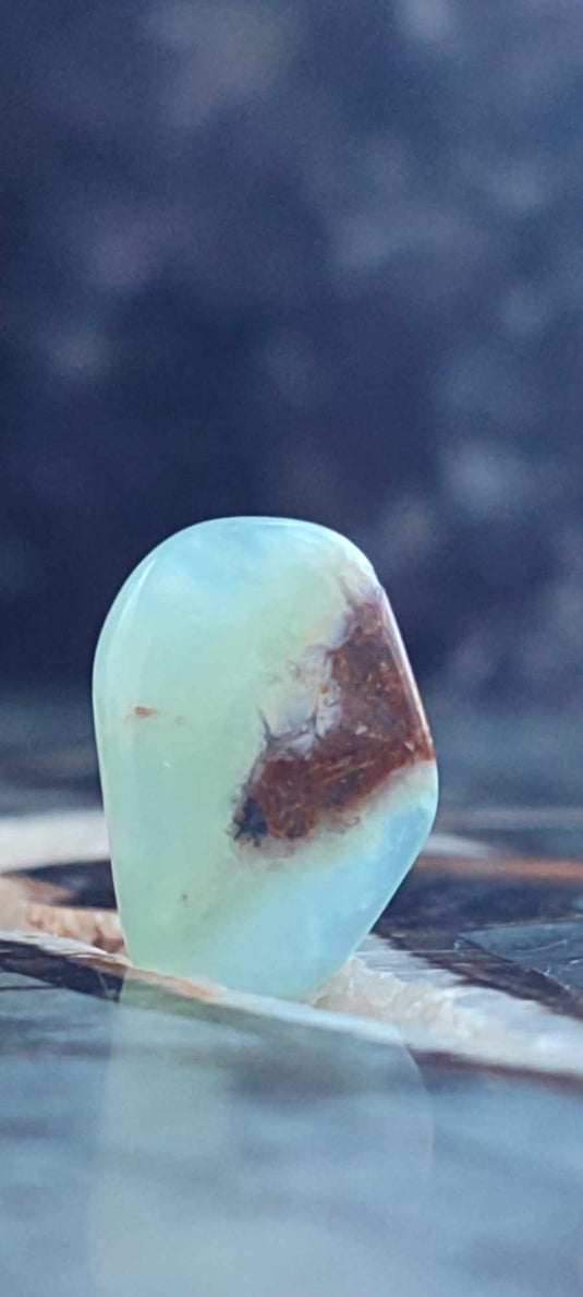 Chrysoprase du Kazakhstan pierre roulée Grade "Extra" Chrysoprase pierre roulée Dans la besace du p'tit Poucet (Boutique Officielle)