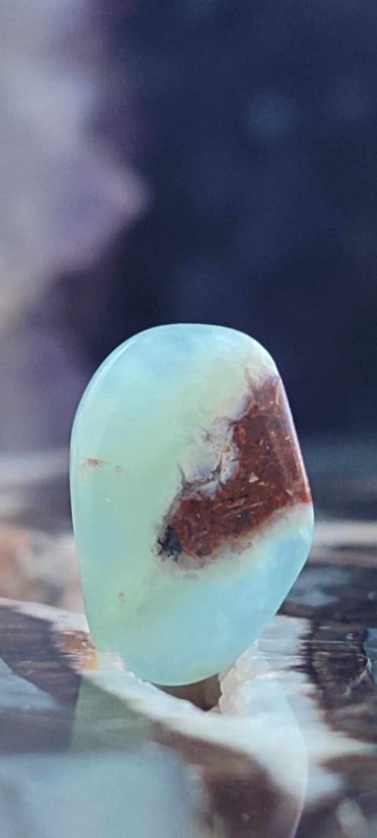 Chrysoprase du Kazakhstan pierre roulée Grade "Extra" Chrysoprase pierre roulée Dans la besace du p'tit Poucet (Boutique Officielle)