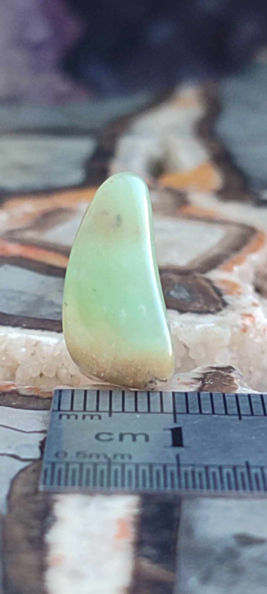 Chrysoprase du Kazakhstan pierre roulée Grade "Extra" Chrysoprase pierre roulée Dans la besace du p'tit Poucet (Boutique Officielle)