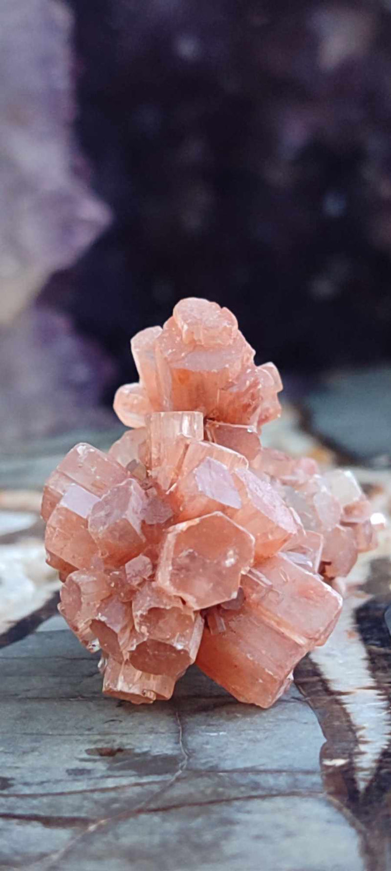 Chargez l&#39;image dans la visionneuse de la galerie, Aragonite Spoutnik d&#39;Espagne pierre brute Grade A++++ Aragonite Spoutnik pierre brute Dans la besace du p&#39;tit Poucet (Boutique Officielle)
