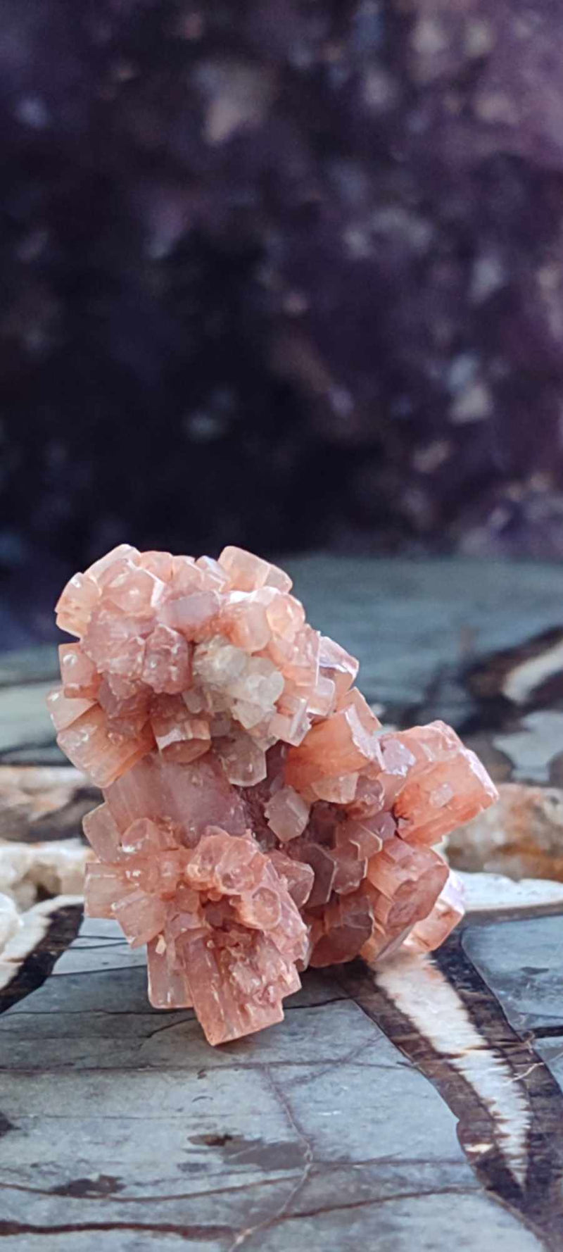 Chargez l&#39;image dans la visionneuse de la galerie, Aragonite Spoutnik d&#39;Espagne pierre brute Grade A++++ Aragonite Spoutnik pierre brute Dans la besace du p&#39;tit Poucet (Boutique Officielle)
