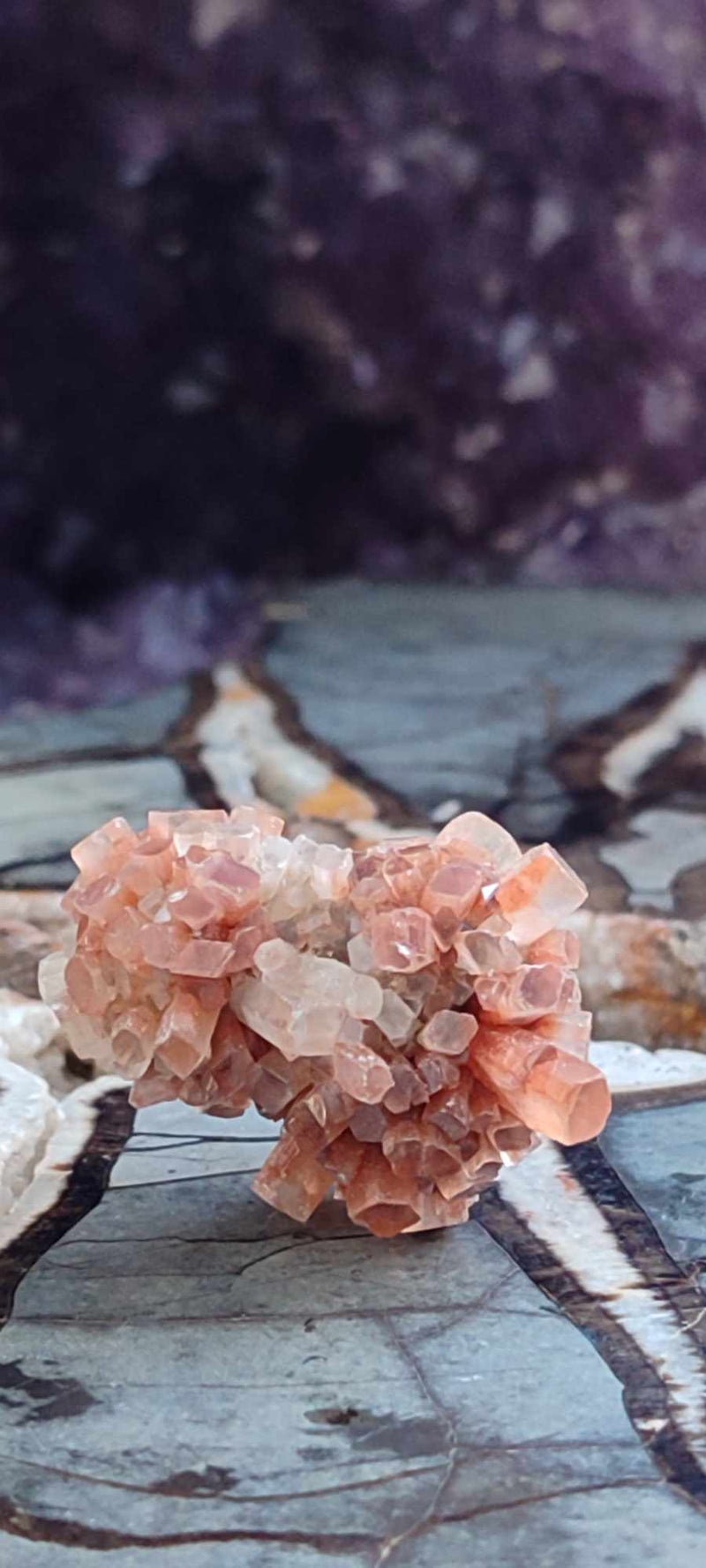 Carica immagine in Galleria Viewer, Aragonite Spoutnik d&#39;Espagne pierre brute Grade A++++ Aragonite Spoutnik pierre brute Dans la besace du p&#39;tit Poucet (Boutique Officielle)
