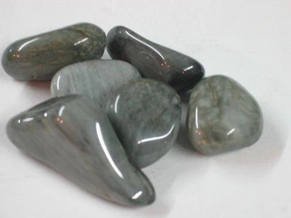 Œil de chat du Sri Lanka