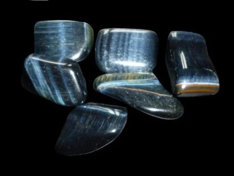 Œil de faucon d’Afrique du sud