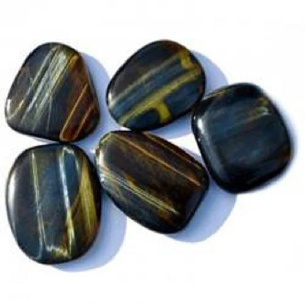 Œil de faucon d’Afrique du sud