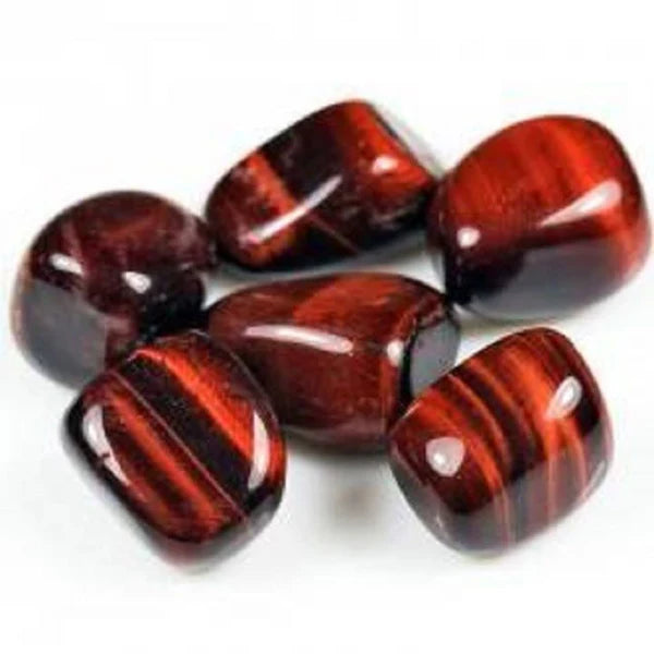 Œil de taureau d’Afrique du sud