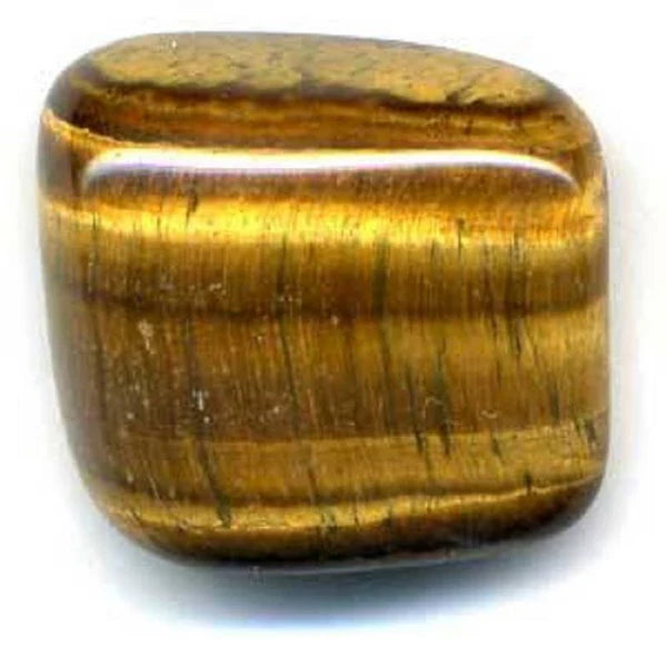 Œil de tigre d’Afrique du sud