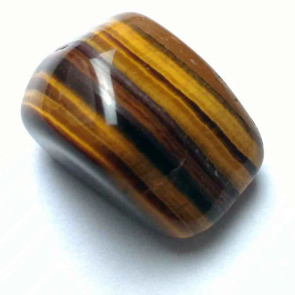 Œil de tigre d’Afrique du sud