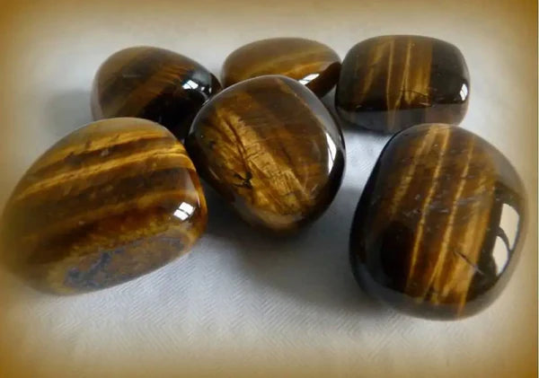 Œil de tigre d’Afrique du sud