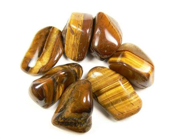 Œil de tigre d’Afrique du sud