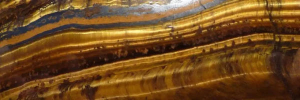 Œil de tigre d’Afrique du sud