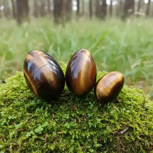Œuf Tantra Yoni en Œil de tigre sur tapis de mousse fraiche et forêt en arrière plan
