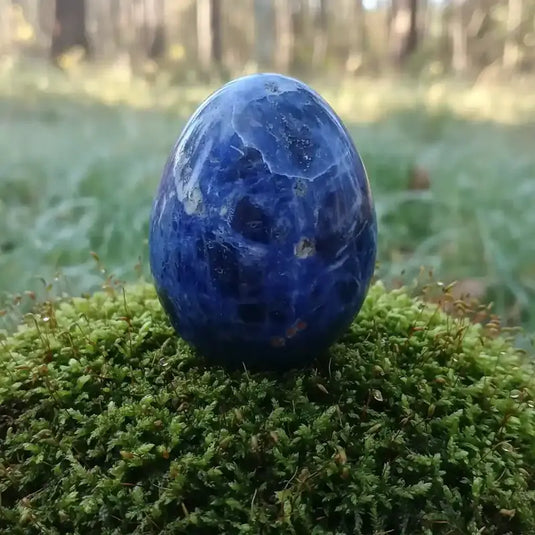 Œuf Tantra Yoni en Sodalite, sur tapis de mousse fraiche et forêt en arrière plan