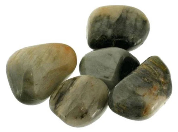 Œil de chat du Sri Lanka