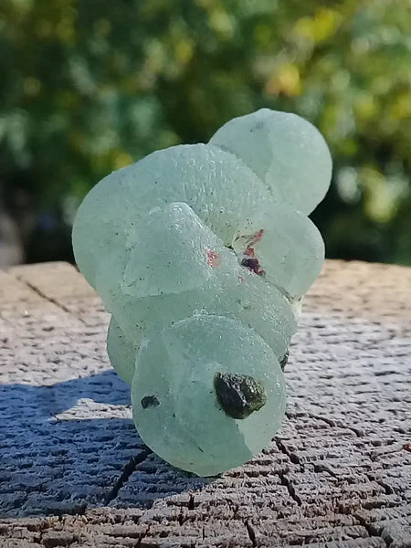 Préhnite d’Afrique du sud