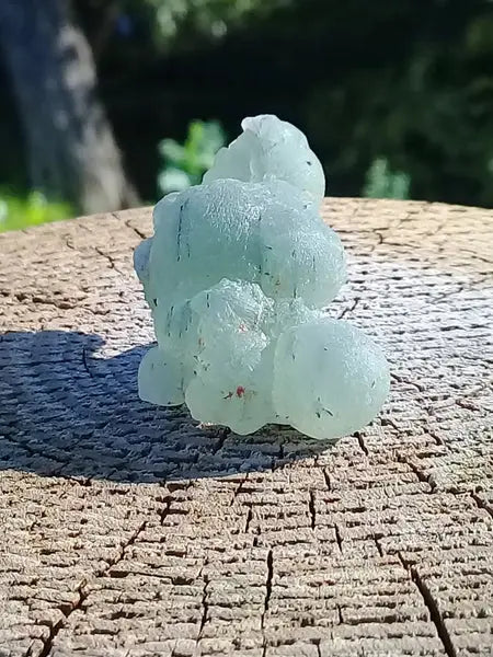 Préhnite d’Afrique du sud