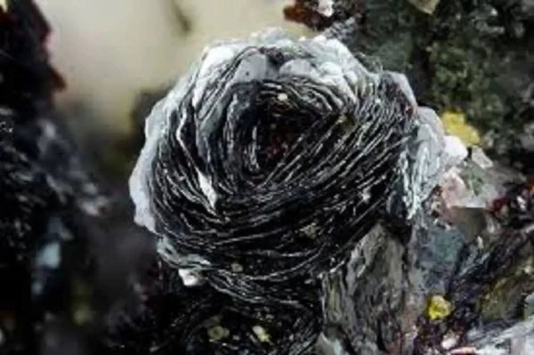 Rose d'Hématite naturelle (Rose de Fer) du Brésil - Formation cristalline rare en rosette pour ancrage et vitalité en lithothérapie